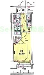 太閤通駅 徒歩5分 8階の物件間取画像